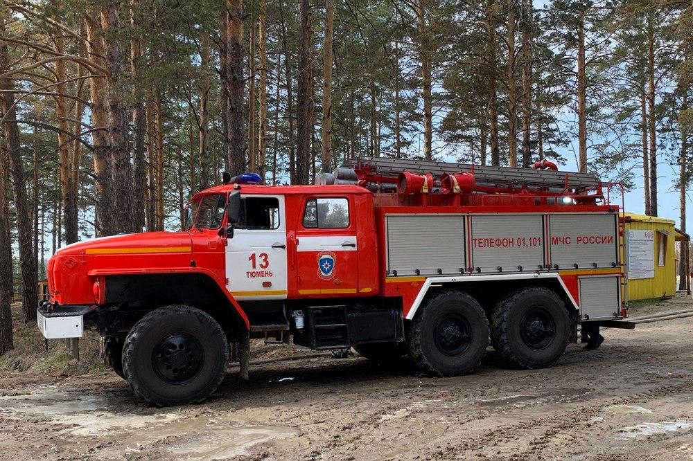 Особый противопожарный режим хмао. Особый противопожарный режим в Кузбассе. Леса Тюмени.